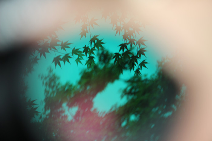 镜头里的别样_副本.jpg